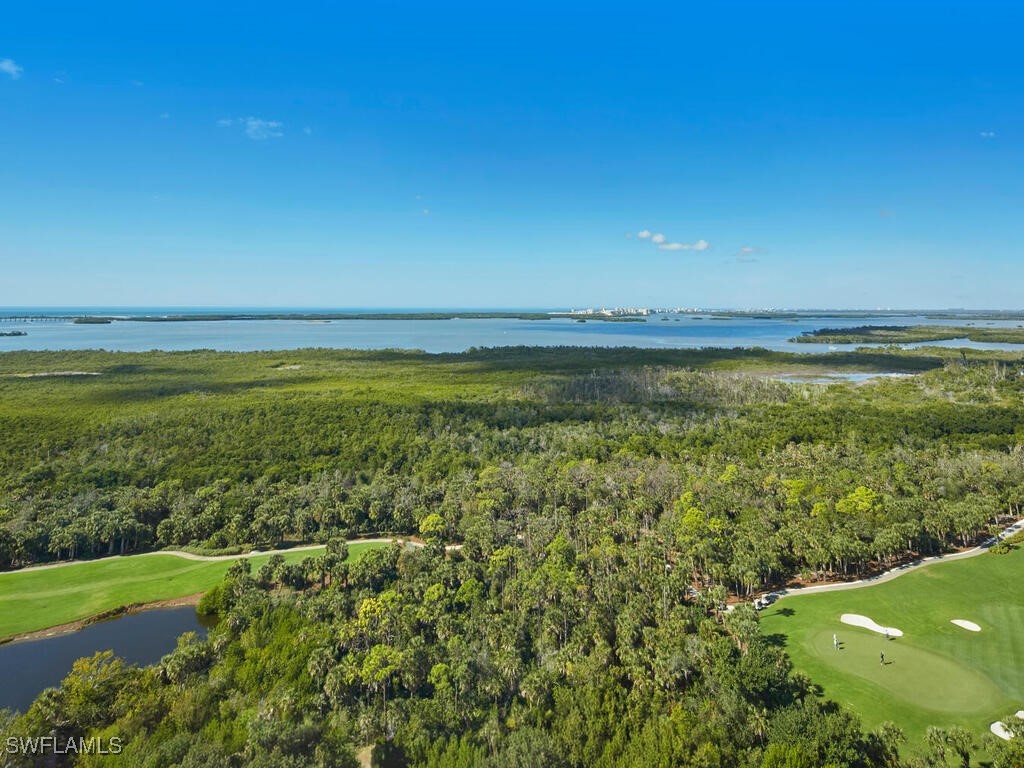 Treviso At The Colony, Estero, FL Real Estate