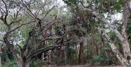 379 Morning Glory LN, Marco Island 34145, FL