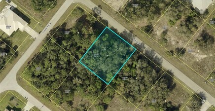 2007 Coy AVE N, Lehigh Acres 33971, FL