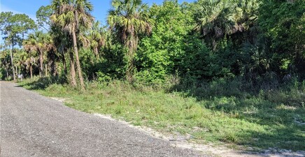 XXX Cannon BLVD, Naples 34120, FL