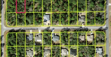 3184 W Misty PL, Citrus Springs 34433, FL