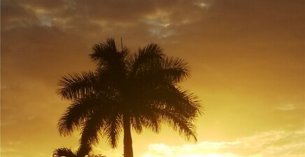 9 Amethyst AVE 9A, Naples 34114, FL