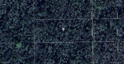 402 S Stocks PT, Crystal River 34429, FL