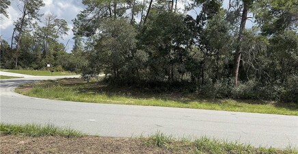 XXX SW 167th LOOP, Ocala 34473, FL