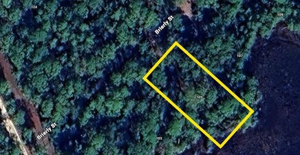 105 Brierly ST, Georgetown 32139, FL