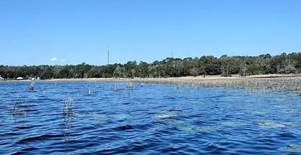 105 Sandpiper DR, Hawthorne 32640, FL