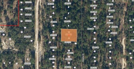 241 Alaska DR, Hawthorne 32640, FL