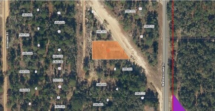 09-10-24-4068-0440-0060 Burton ST, Interlachen 32148, FL