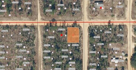 05-10-24-9045-0070-0010 Twin Lakes BLVD, Interlachen 32148, FL