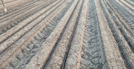 6150 Pringle LN, Immokalee 34142, FL