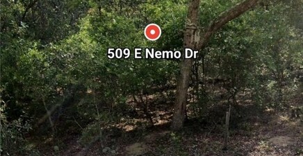 509 E Nemo DR, Citrus Springs 34434, FL