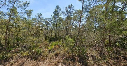 3234 Flatbush AVE, Lake Placid 33852, FL