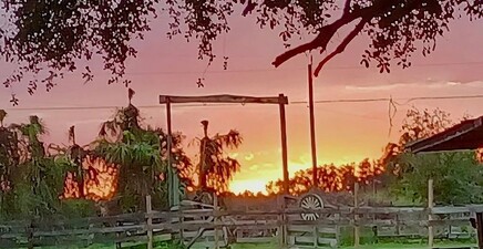 23261 Tuckahoe RD, Alva 33920, FL