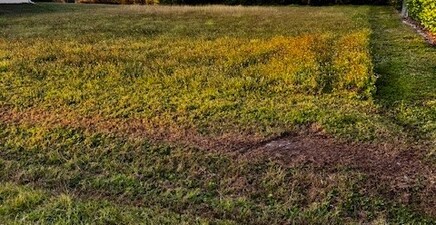 5612 Birdsong LN, Bokeelia 33922, FL