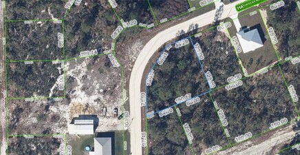 114 Hayes AVE NE, Lake Placid 33852, FL