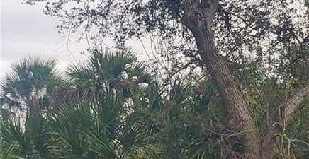 315 IVANHOE AVE Banyan Village, Labelle 33935, FL