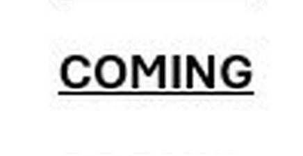 312 Hollywood ST, Lehigh Acres 33936, FL