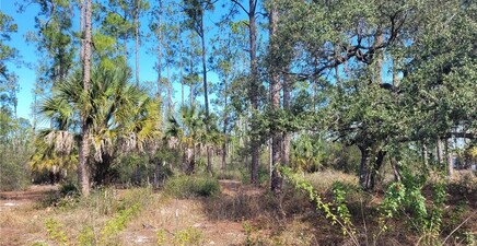 7620 19th PL, Labelle 33935, FL