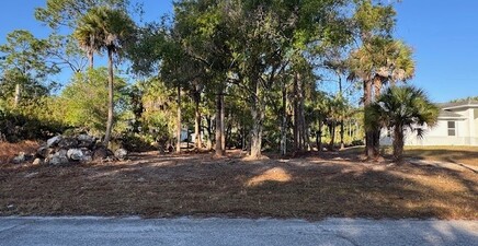 1012 Lockwood ST, Labelle 33935, FL