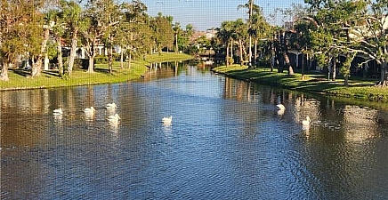 5479 Peppertree Dr Se 14, Fort Myers 33908, FL