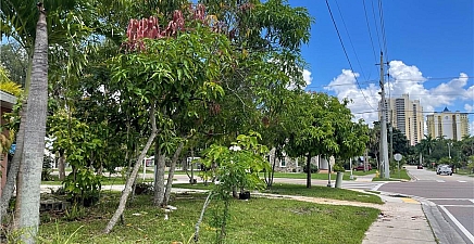 2680 Second St , Fort Myers 33916, FL