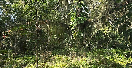 1034 Collier Ln , Moore Haven 33471, FL