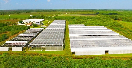 6150 Pringle Ln , Immokalee 34142, FL